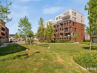 Ground floor for sale Harelbeke (RBU60690)