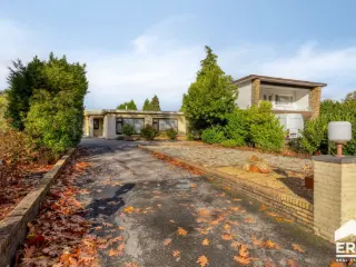 Maison à vendre Lommel (RBU60760)