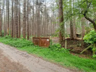 Chalet à vendre Gierle (RBU60912)