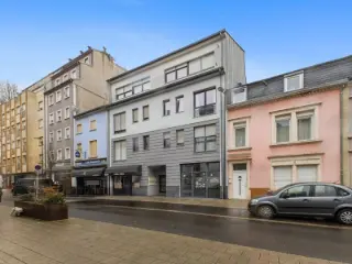 Appartement à vendre Esch-sur-Alzette (RBU61174)