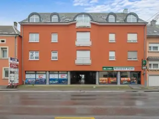 Handelspand te koop Bascharage (RBU61176)