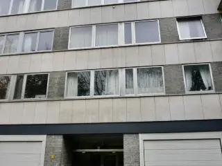 Appartement à louer Louvain (RBU61306)