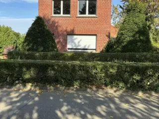 Maison à vendre Noorderwijk (RBU61360)