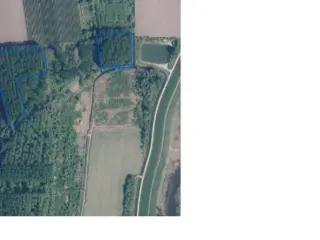 Land for sale Hamme (RBU61400)