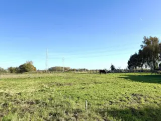 Grond te koop Avelgem (RBU62439)