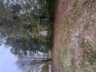 Grond te koop Keerbergen (RBU62727)