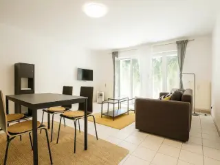 Apartment for rent Luxembourg (RBU63236)