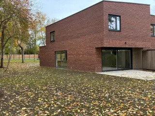 Maison à louer Dikkelvenne (RBU64356)