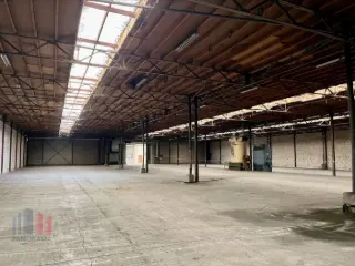 Industrie te huur Geel (RBU64685)