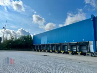 Surface industrielle à louer Genk (RBU64692)