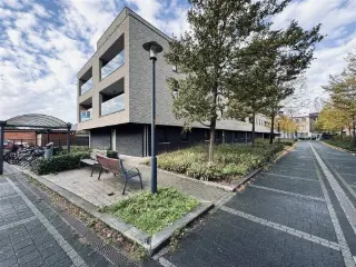 Appartement te huur Melsele (RBU64913)