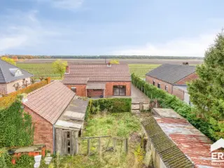 Maison à vendre Lommel (RBU65081)