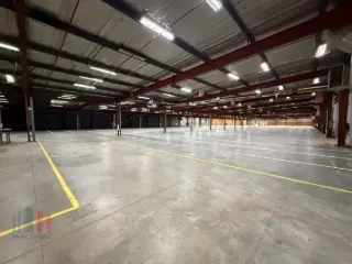 Surface industrielle à louer Sint-Niklaas (RBU65597)