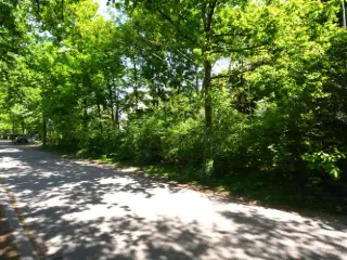 Bouwgrond te koop Bonheiden (RBU65699)