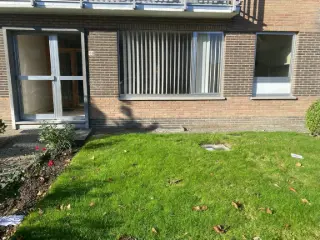Gelijkvloers te koop Borsbeek (RBU67361)
