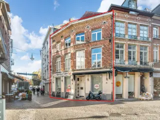 Opbrengsteigendom te koop Leuven (RBU67580)