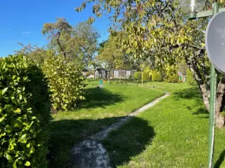 Maison à vendre Leudelange (RBU67637)