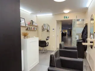 Handelspand te koop Lokeren (RBU67990)