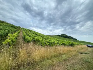 Landbouwgrond te koop Bech-Kleinmacher (RBU68169)