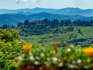 Maison à vendre Pomarance (RBU68254)