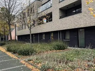 Appartement à louer Melsele (RBU68370)