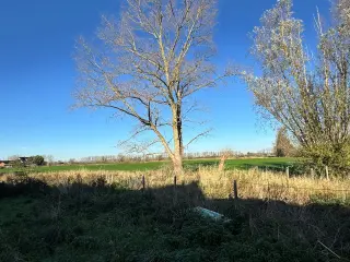 Terrain à bâtir à vendre Kortemark (RBU68542)