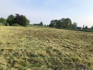 Grond te koop Rongy (RBU68706)