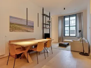 Appartement à vendre Bruxelles (RBU69286)