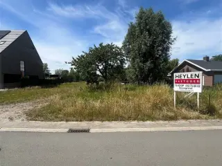 Terrain à vendre Hamme (RBU69299)