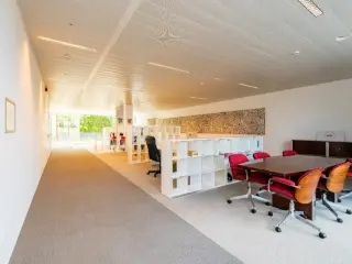 Handelspand te huur Antwerpen (RBU70092)