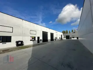 Surface industrielle à louer Beveren-Leie (RBU70389)