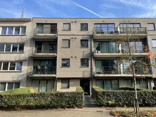 Apartment for rent Sint-Pieters-Leeuw (RBU71231)