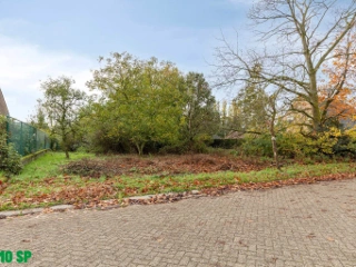 Grond te koop Olen (RBU71523)