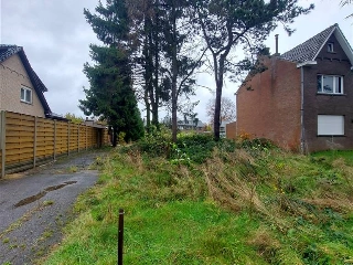 Terrain à vendre Tessenderlo (RBU71855)