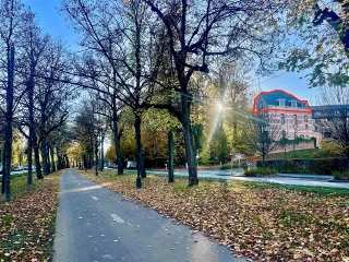 Penthouse for sale Oudergem (RBU74526)