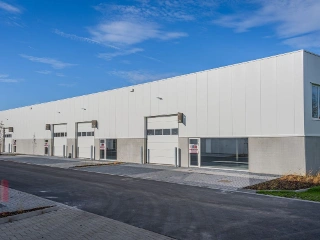 Surface industrielle à louer Tienen (RBU76757)