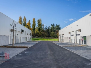 Surface industrielle à louer Tienen (RBU76758)