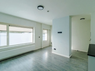 Kot te koop Gent (RBU77457)