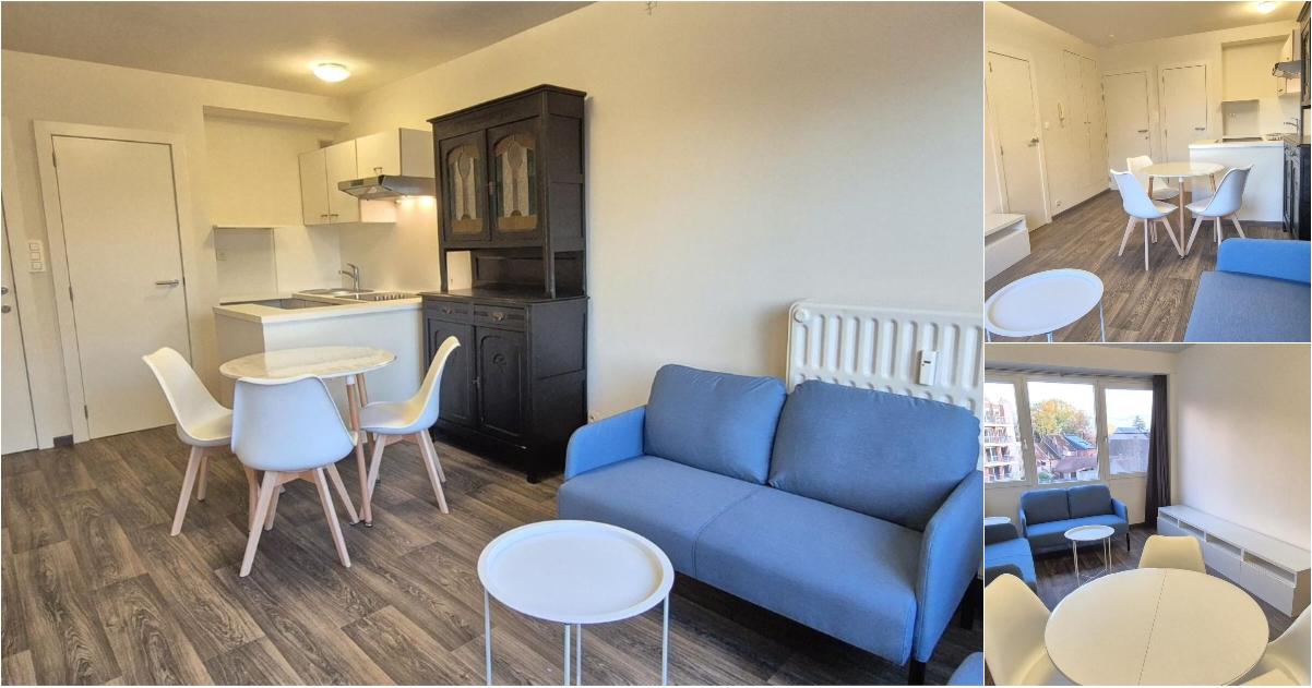 Appartement à louer à Tervuursestraat 42A Louvain (RBW53943) - Aanzicht 2