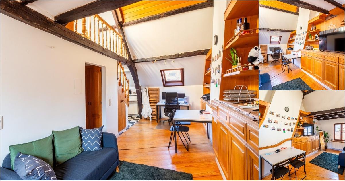 Duplex à louer à Grote Goddaard 13 Anvers (RBW55210) - Aanzicht 2