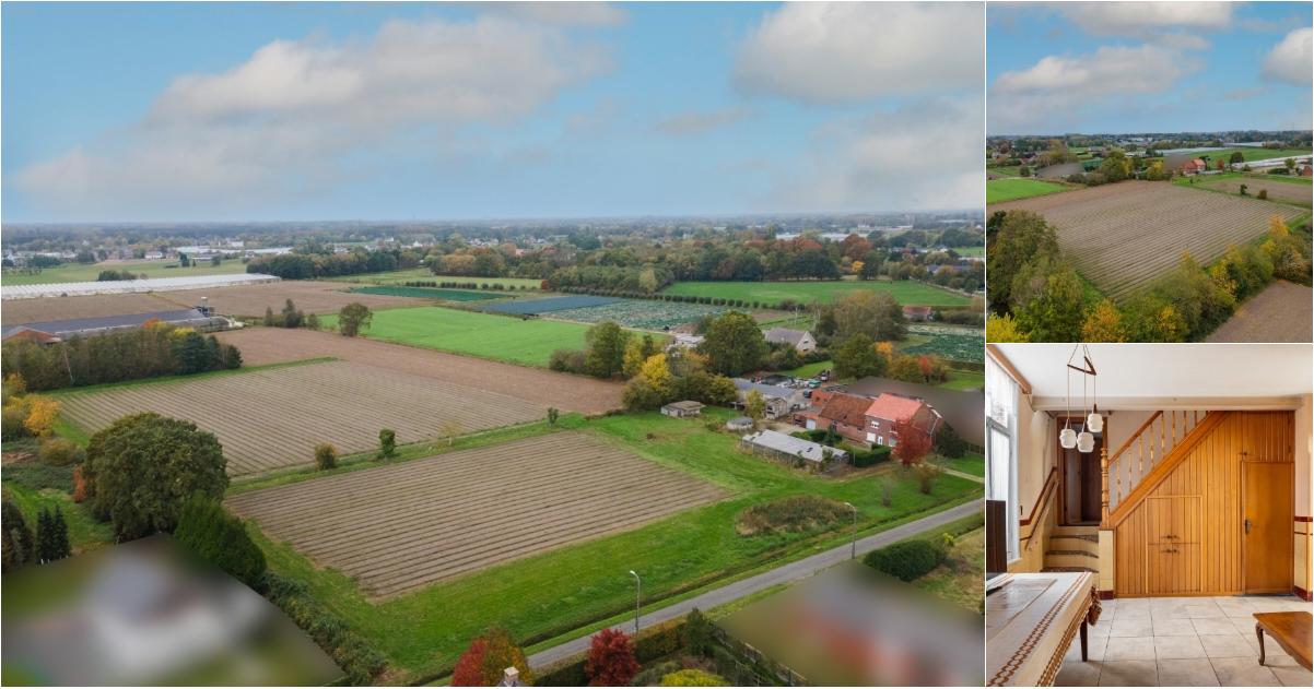 Maison à vendre à Kruisstraat 3 Beerzel (RBW56475) - Aanzicht 2