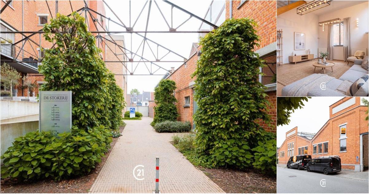 Apartment in Oudenaarde - Aanzicht 2