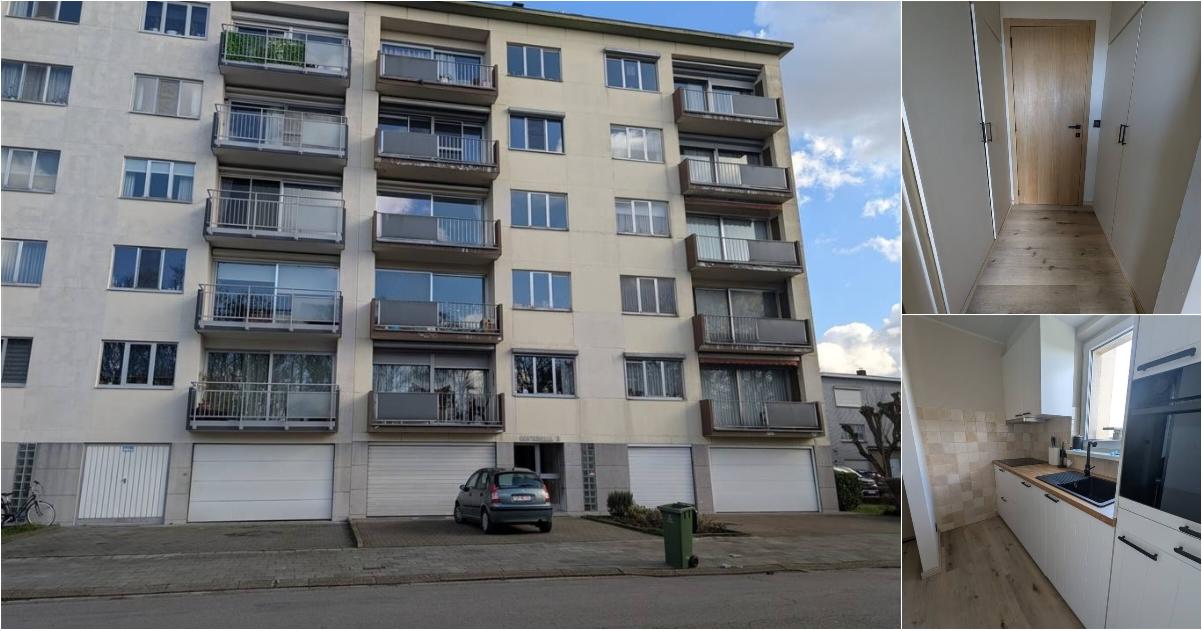Appartement à louer à Wulpstraat 21 Merksem (RBW61024) - Aanzicht 2