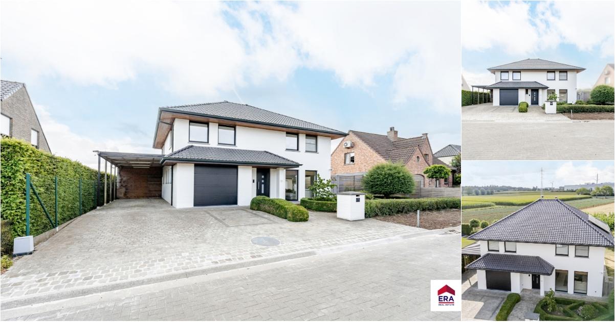 House in Oostrozebeke - Aanzicht 3