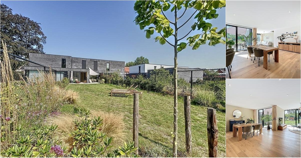 House in Sint-Gillis-Waas - Aanzicht 2