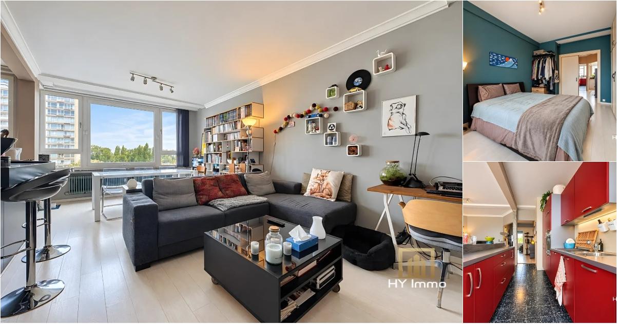 Appartement à vendre à BOULEVARD LÉOPOLD III 15 Schaerbeek (RBX17472)