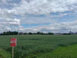 Farmland for sale Asse (RWC23941)