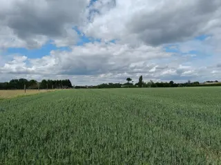 Farmland for sale Asse (RWC23942)