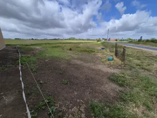 Terrain à bâtir à vendre Bikschote (RWC35365)