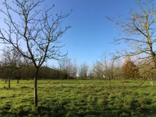 Terrain agricole à vendre Opwijk (RWC37821)